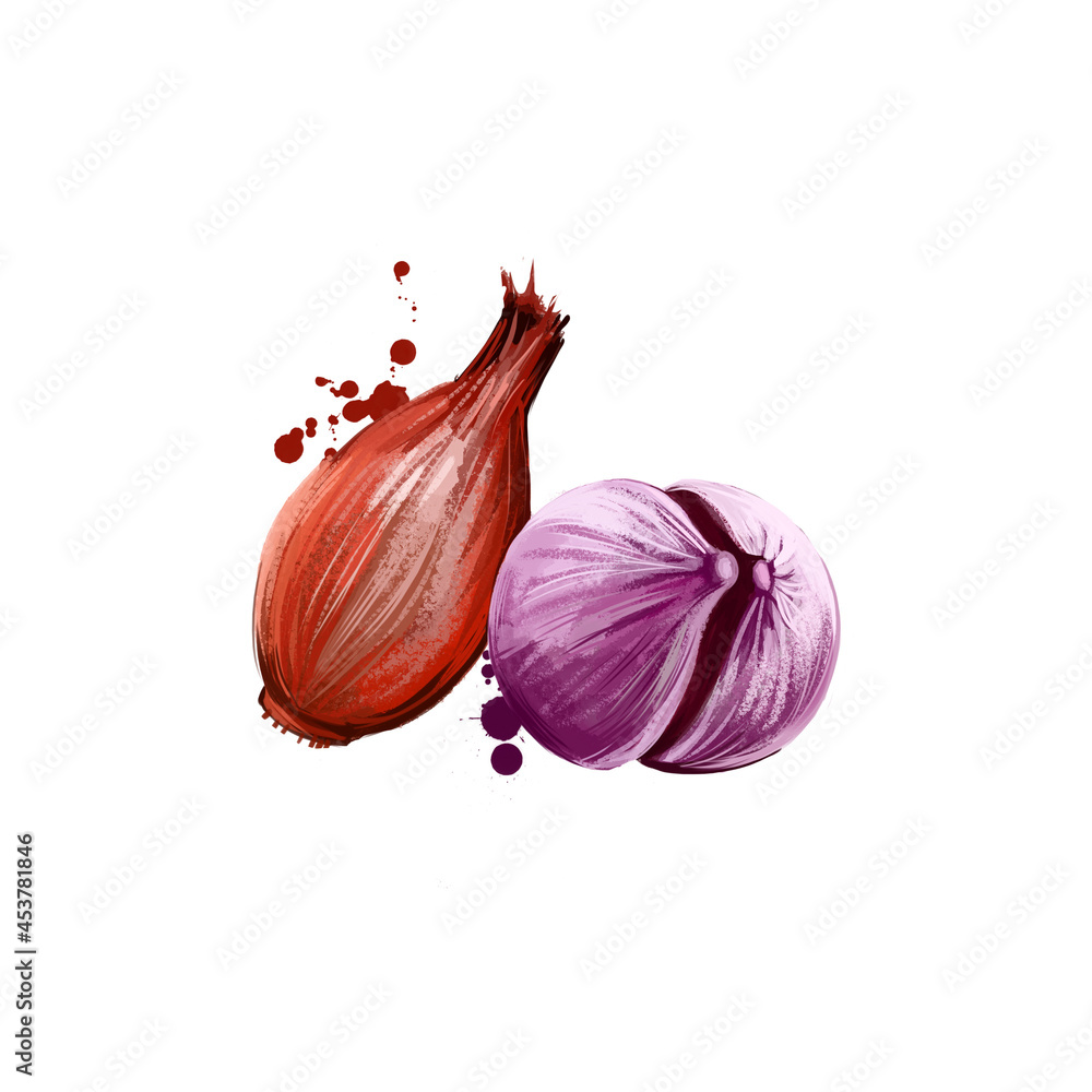 FREE Onion Clip Art – Daily Art Hub // Graphics, Alphabets & SVG - Clip ...