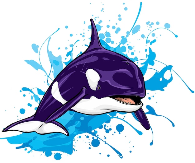 Orca / Killer Whale Clip Art – Individual Animal Clip Art Pieces ...