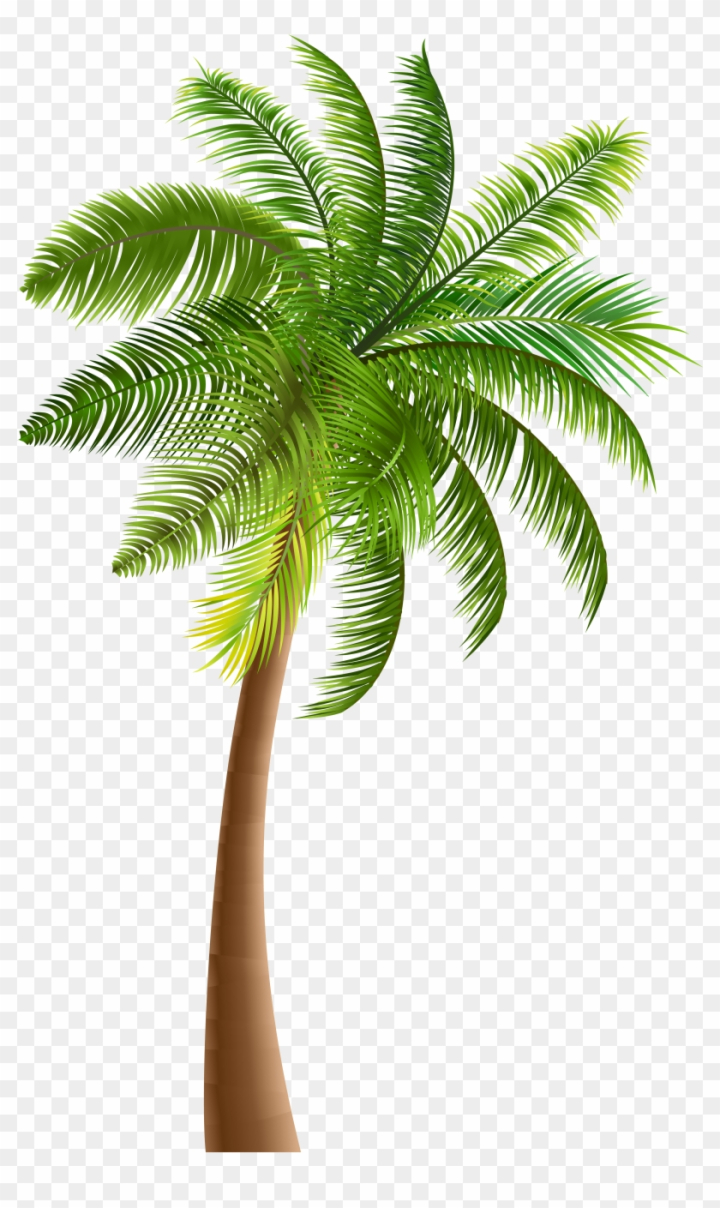 Free: Palm Trees Clip Art - Palm Trees Clip Art - nohat.cc - Clip Art ...