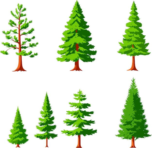 14,142 Pine Tree High Res Illustrations Getty Images | Pine Tree ...