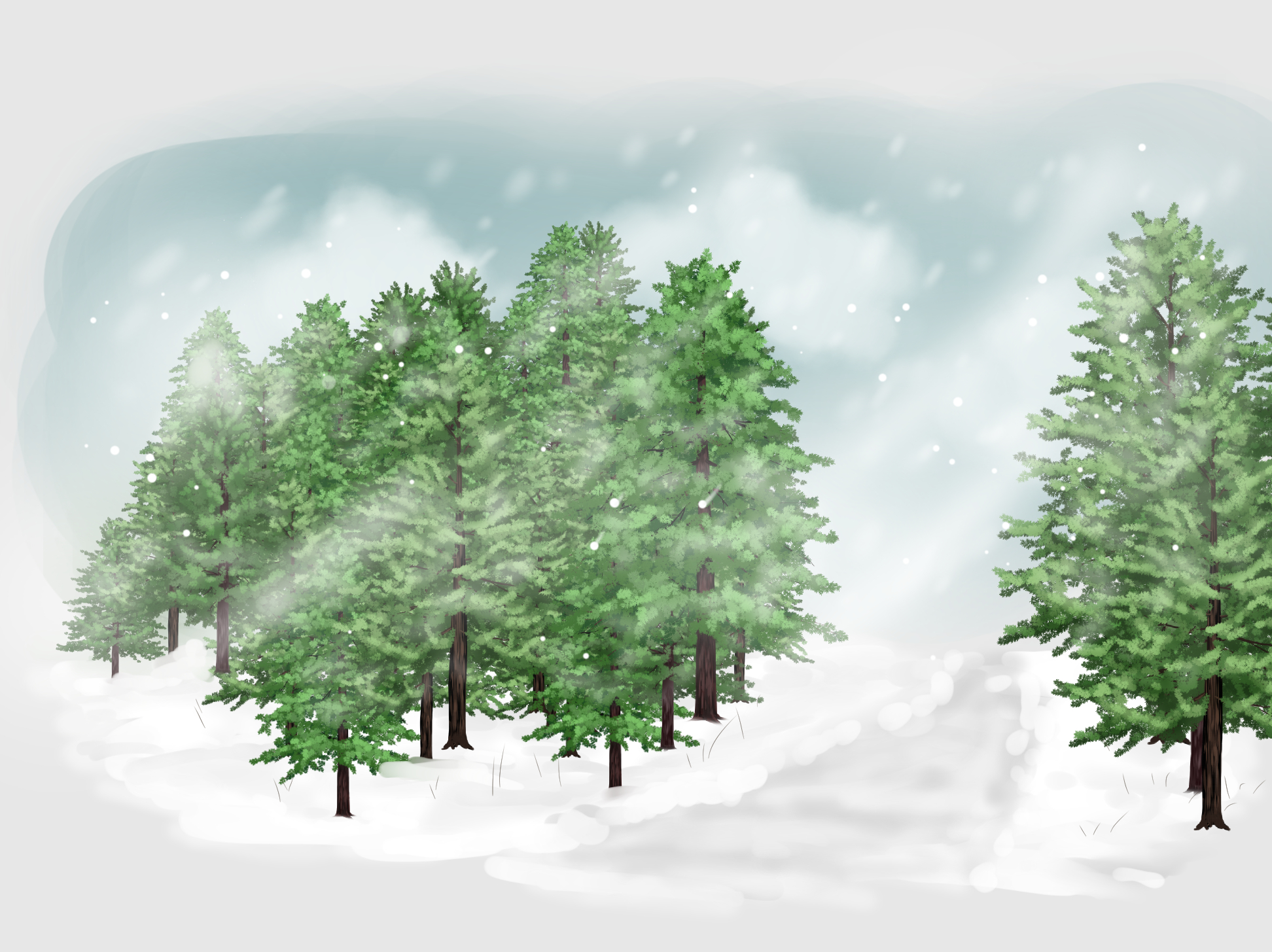 Free clip pine tree, Download Free clip pine tree png images, Free ...