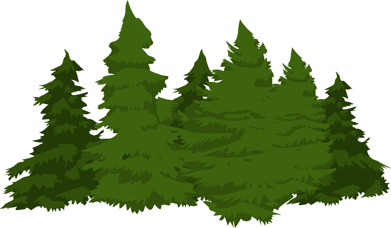 Free clip pines free, Download Free clip pines free png images, Free ...