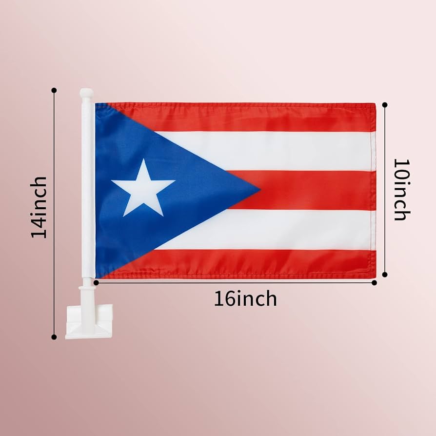 Amazon.com : 2 Pack Car Flags ,Car Flag Puerto Rico Flag Outdoor ...