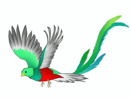 Free clip quetzal, Download Free clip quetzal png images, Free ClipArts ...