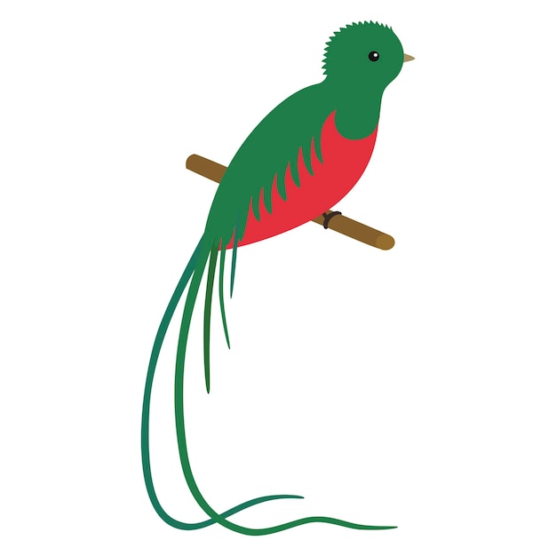 Cartoon Quetzal Bird Comic Animal Character Zoo South America ...