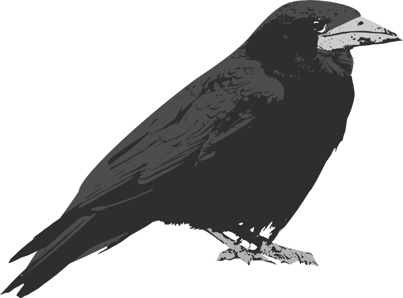 Free clip raven free, Download Free clip raven free png images, Free ...