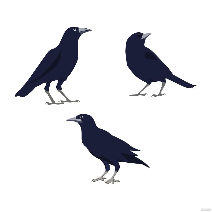 Free clip raven templates, Download Free clip raven templates png ...