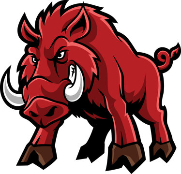 Free clip razorback, Download Free clip razorback png images, Free ...