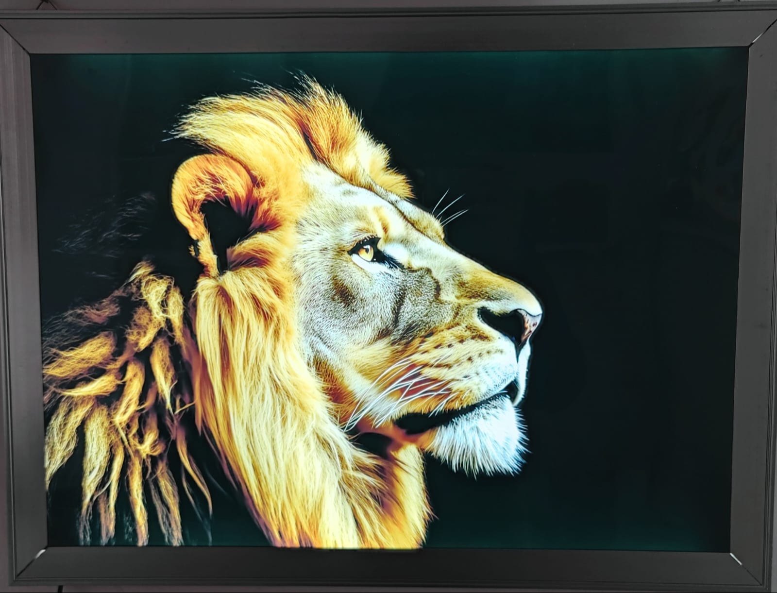 Plain Polished Lion LED Backlit Clip On Frame at Rs 1500/piece in ...