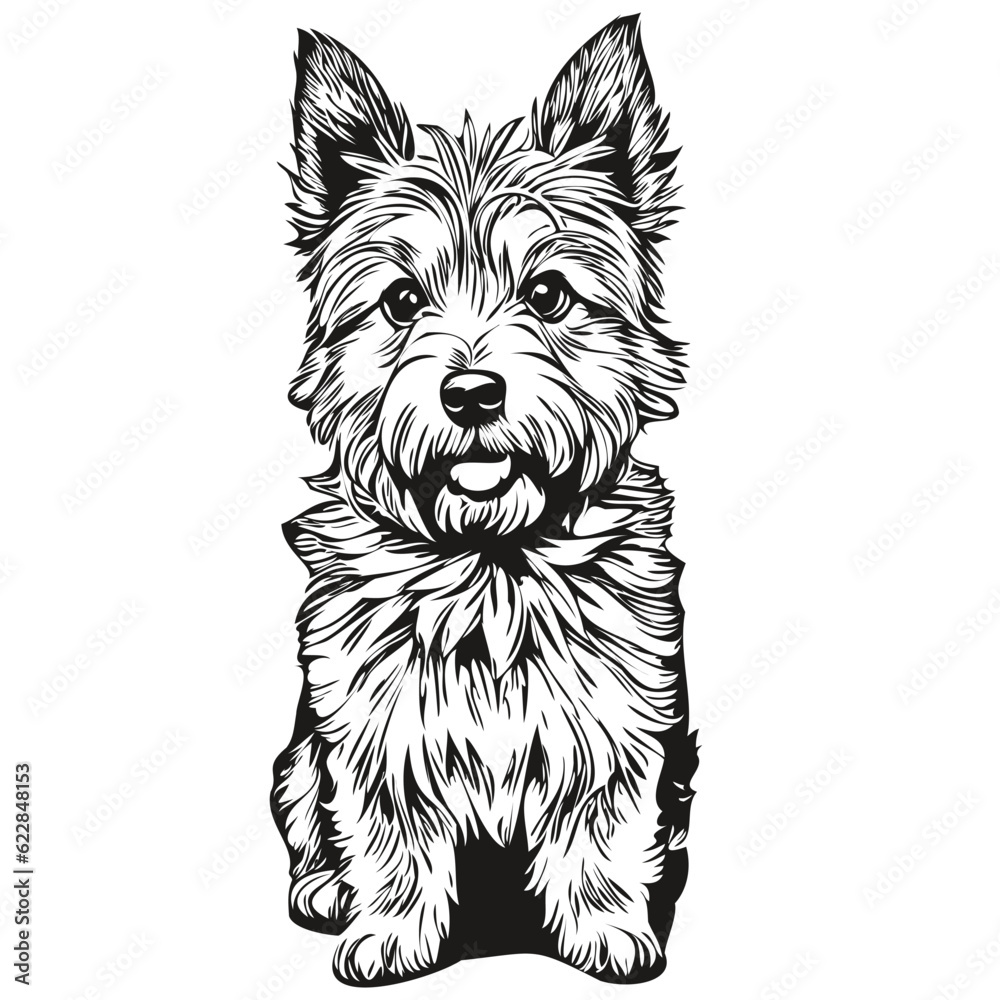 Norwich Terrier dog silhouette pet character, clip art vector pets ...