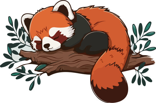 Red Panda Vector Images – Browse 147,184 Stock Photos, Vectors ...