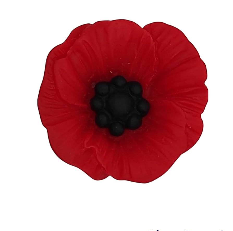 Red Poppy brooch. Remembrance Day Brooch. Lest we forget. Poppy flower ...