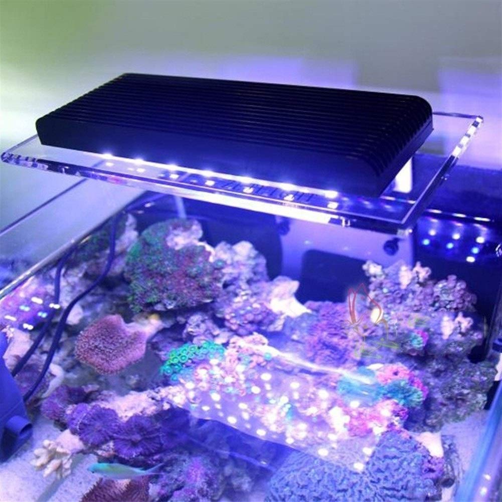 Marine LED Light Coral SPS LPS Clip Light for Aquarium Sea Reef ...