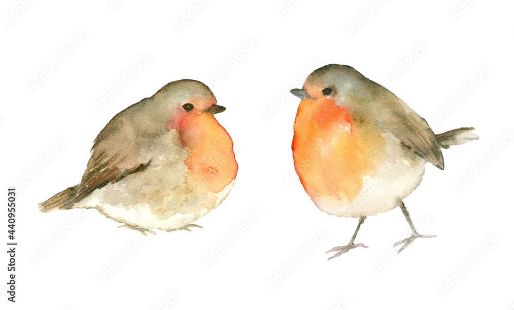 Free clip robin bird, Download Free clip robin bird png images, Free ...