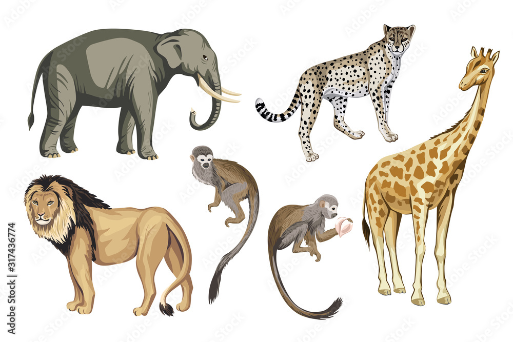 Free clip safari animal, Download Free clip safari animal png images ...