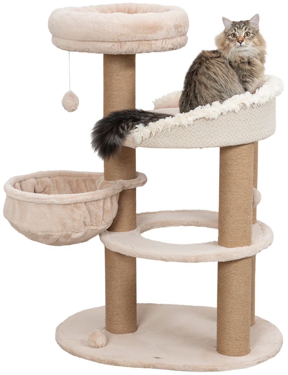 Cat Scratching Post: Over 1,560 Royalty-Free Licensable Stock ...