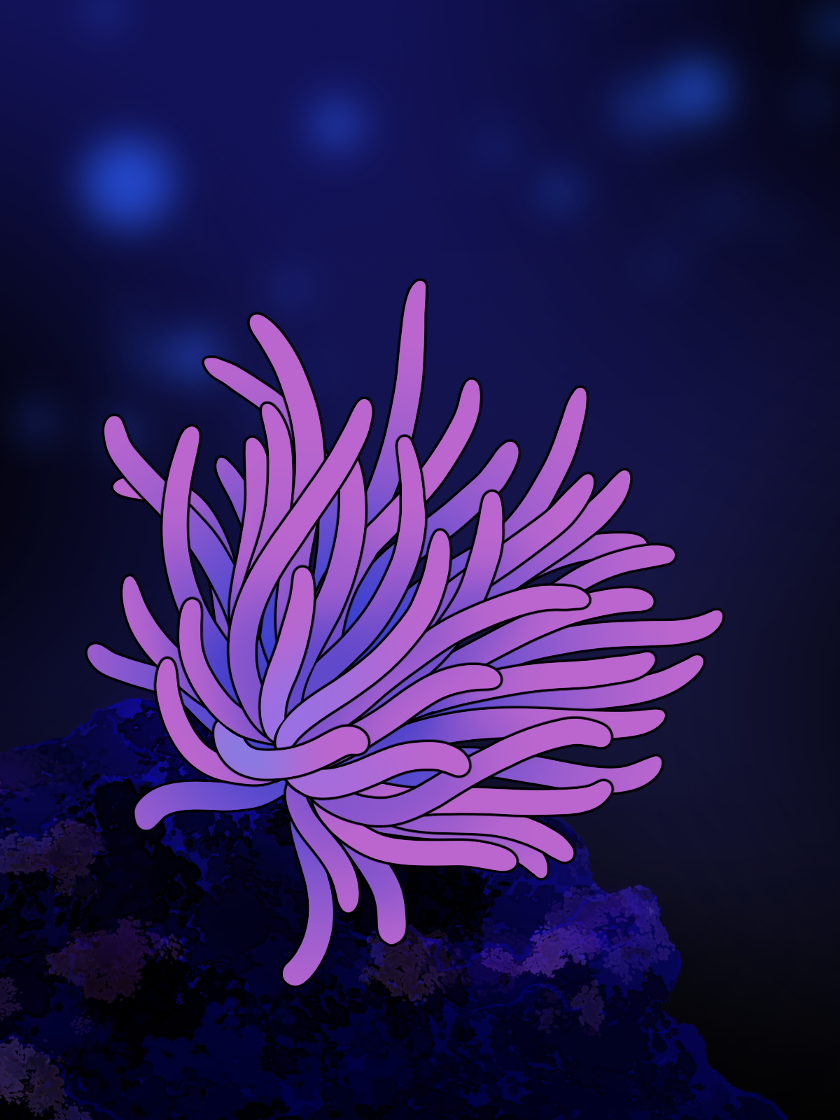 Draw a Stunning Sea Anemone by MeredithM - Make better art | CLIP ...