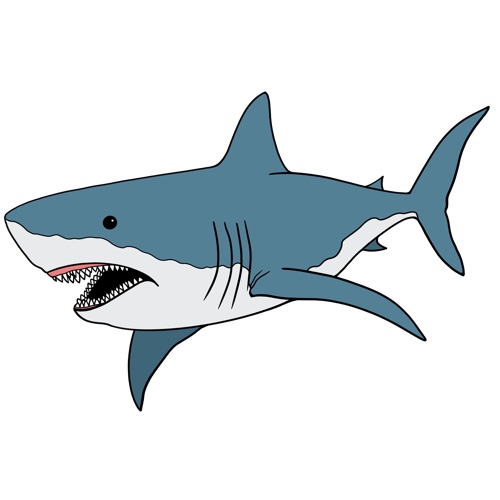 Free clip shark graphic, Download Free clip shark graphic png images ...