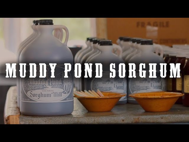 Muddy Pond Sorghum Syrup | Tennessee Crossroads | Episode 2207.3 ...