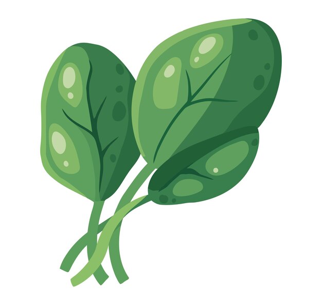 Spinach clip art Vectors & Illustrations for Free Download | Freepik ...