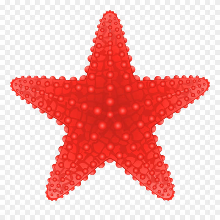 Free clip starfishs free, Download Free clip starfishs free png images ...