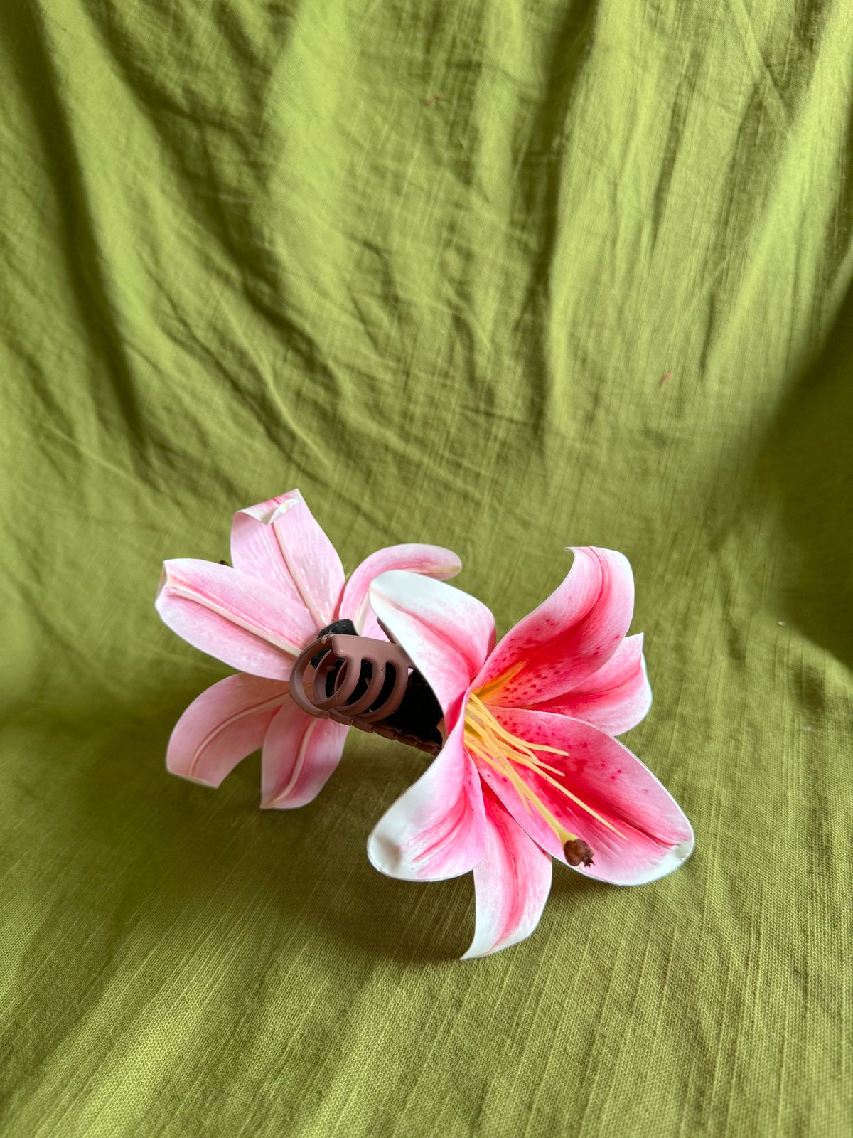 free-clip-stargazer-lilly-download-free-clip-stargazer-lilly-png