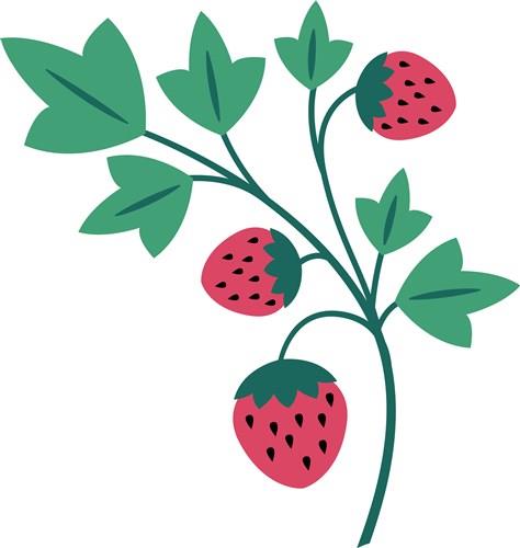 Strawberry Plant Clip Art Library