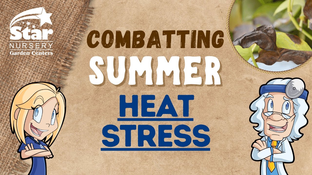 Combatting Summer Heat Stress - Clip Art Library