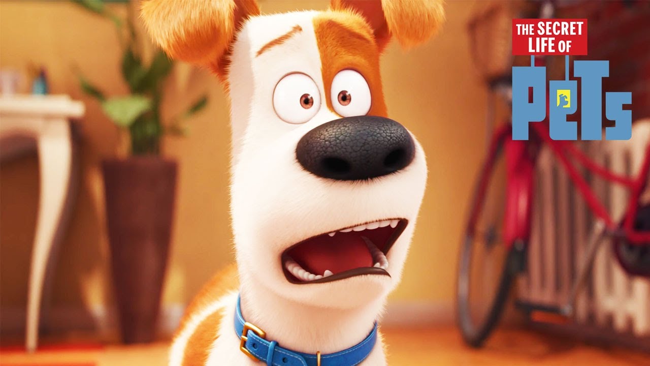 The Secret Life of Pets: Saving Duke (HD CLIP) - Clip Art Library