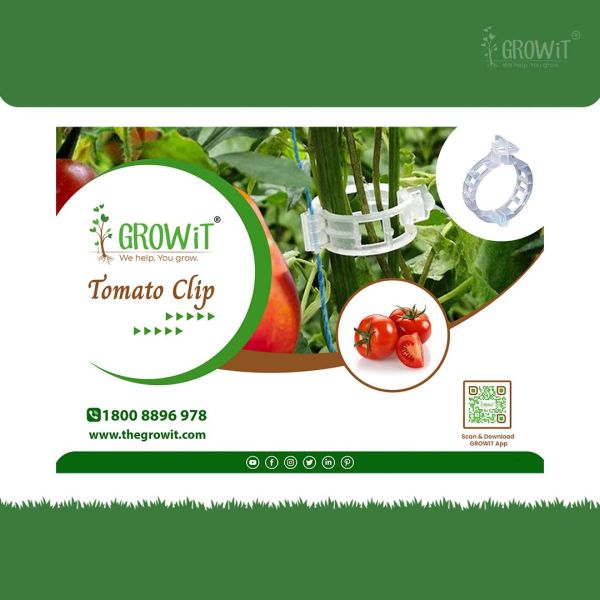 Buy High-Quality Tomato Plant Clips for Healthy Growth - Clip Art Library