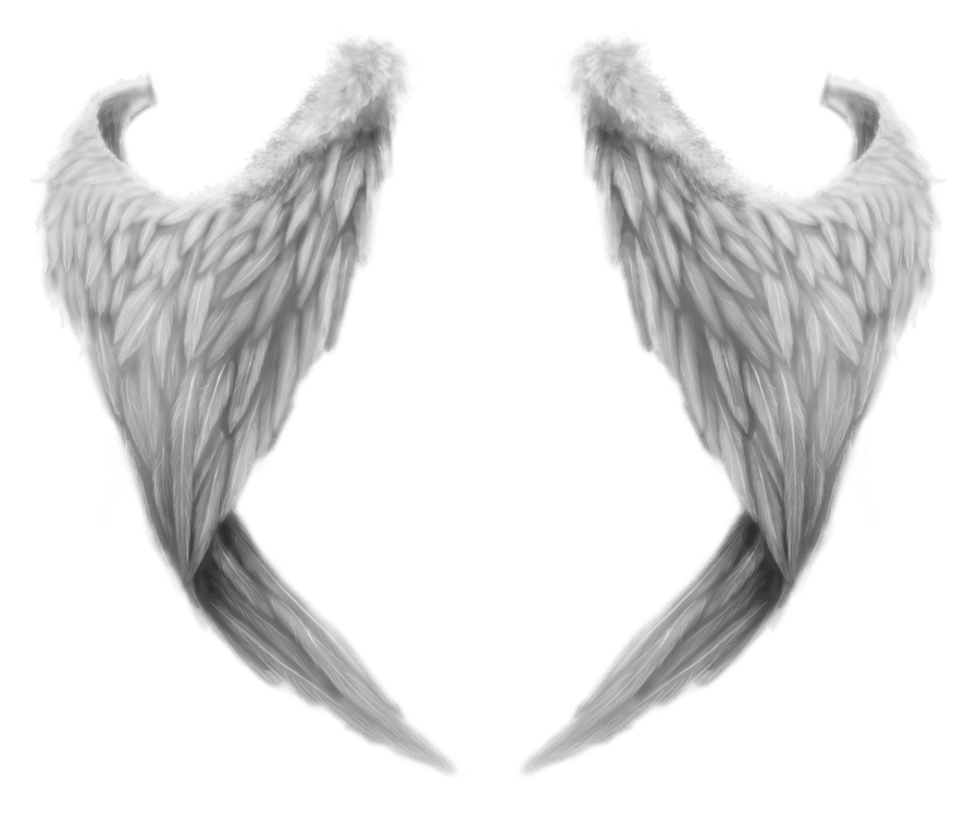 Free clip transparent angel wings tumblr, Download Free clip ...