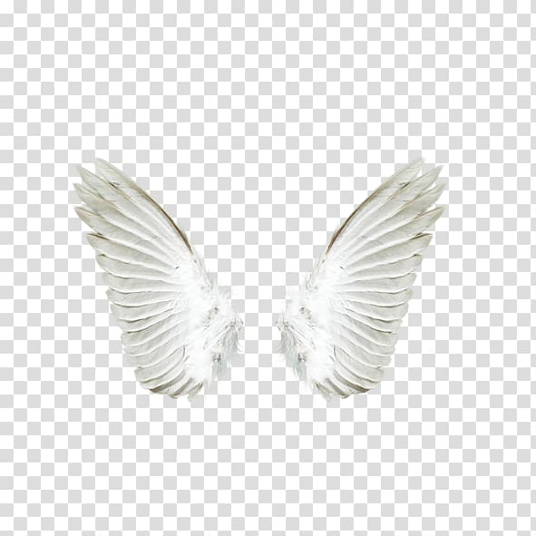 Free: White angel wings, Angel , White angel wings transparent ...