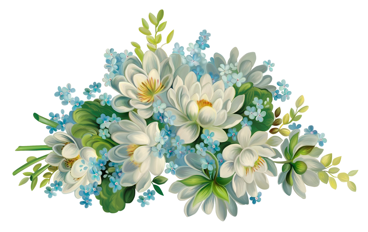 White Flower Transparent Clip Art Image | White flowers, Clip art ...