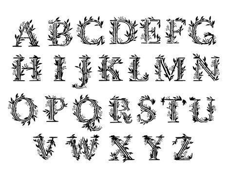 Free clip tree root font, Download Free clip tree root font png images ...