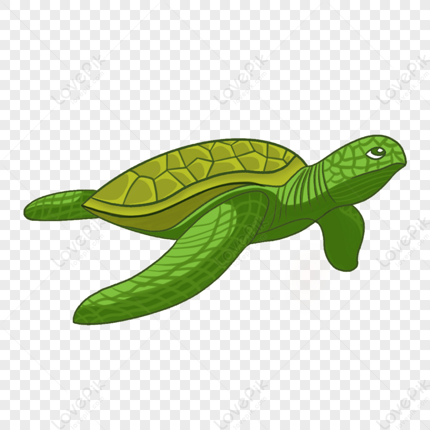 Free clip turtle shell, Download Free clip turtle shell png images ...