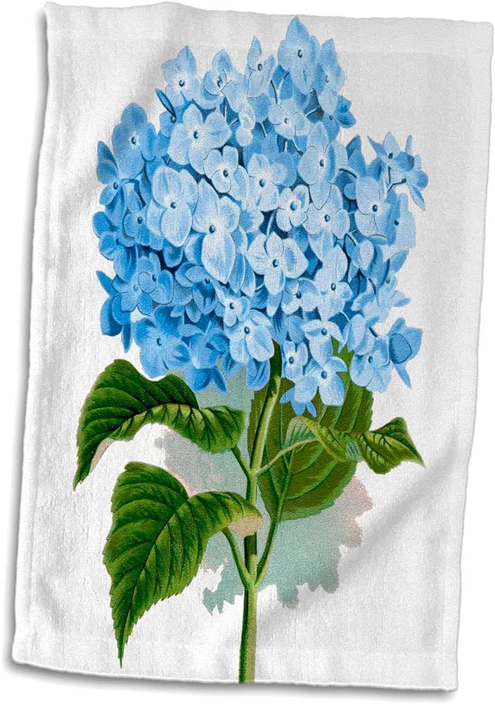 Free clip vintage hydrangeas, Download Free clip vintage hydrangeas png ...