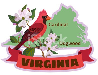 Free clip virginia cardinals, Download Free clip virginia cardinals png ...