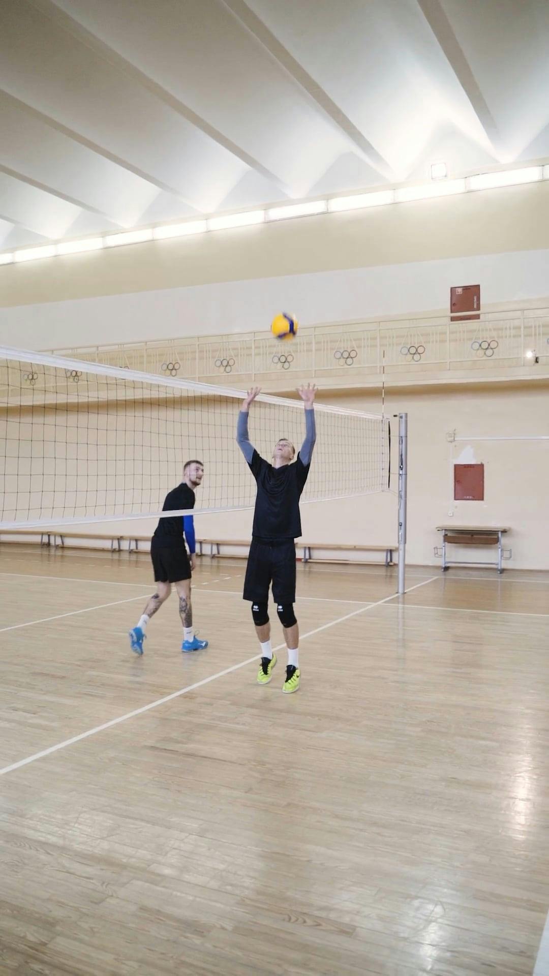 Free clip volleyball free, Download Free clip volleyball free png ...