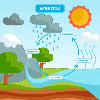 Water Cycle Kids Images - Free Download on Freepik - Clip Art Library