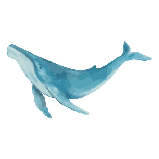 Free whale Clipart Images | FreeImages - Clip Art Library