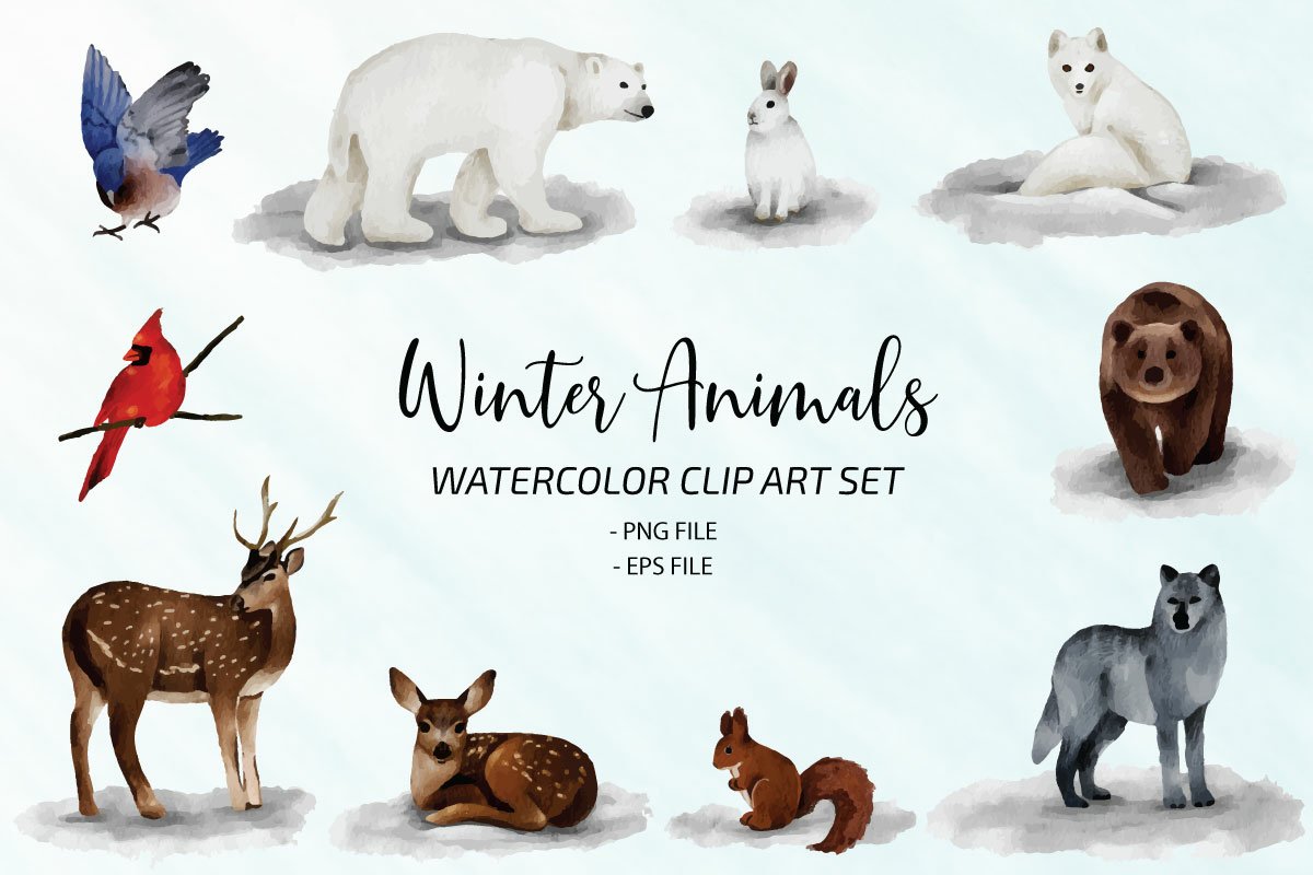 Free clip winter animals, Download Free clip winter animals png images ...