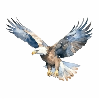 an adorable eagle flying with kind eyes clipart with watercolor illustration,full body shot,8k,etsy style, white background