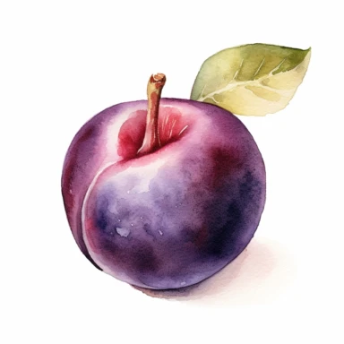 A beautiful watercolor clipart illustration of a Plum/Sloe Duke fruit, rendered without a background. The Plum/Sloe Duke fruit takes center stage in the illustration, its unique shape and rich colors brought to life with delicate watercolor brushstrokes. The illustration captures the velvety texture of the fruit's skin and the subtle variations in its hues, from deep purples to hints of blue and red. The watercolor medium adds a touch of artistic elegance, with gentle washes and intricate detail