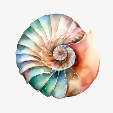 Watercolour clipart of Nautilus shell on the ocean floor, isolated.