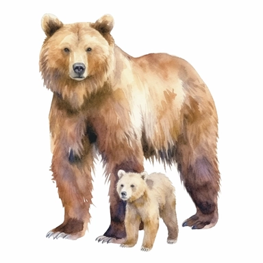 A Bear and her cub Watercolor isolated on white background, Watercolor Clipart painting, high quality, HD, children's book illustrations, realistic lifelike figures, white background