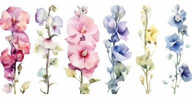 Watercolor realistic Hollyhock, iris, morning glory orchid and peony floral cliparts with white background