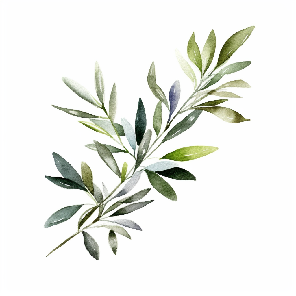 olive branch clipart