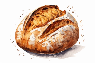 watercolor Sourdough bread clipart, hd, white background, spaced out
