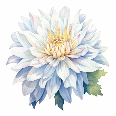 Watercolor snow white dahlia clipart on a white background in the style of feminine sticker art, Tanya Shatseva, storybook illustration, pure and pristine shades, Georgia O'Keeffe, flower and nature motifs, colored line art, colored outlines, cottagecore design, watercolor on white background, ombre, warm tones, colored line art, colored outlines, iridescent ombre, gradient shading, winter snow tone, vibrant digital art oil paint photorealism, an illustration of a colored flower, meticulous sket