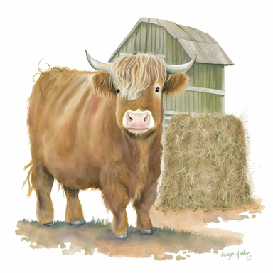 Highland Longhair Cow standing on a hay bale, with a red barn in the background, Watercolor, Clipart, sweet, cute, transparent background PNG